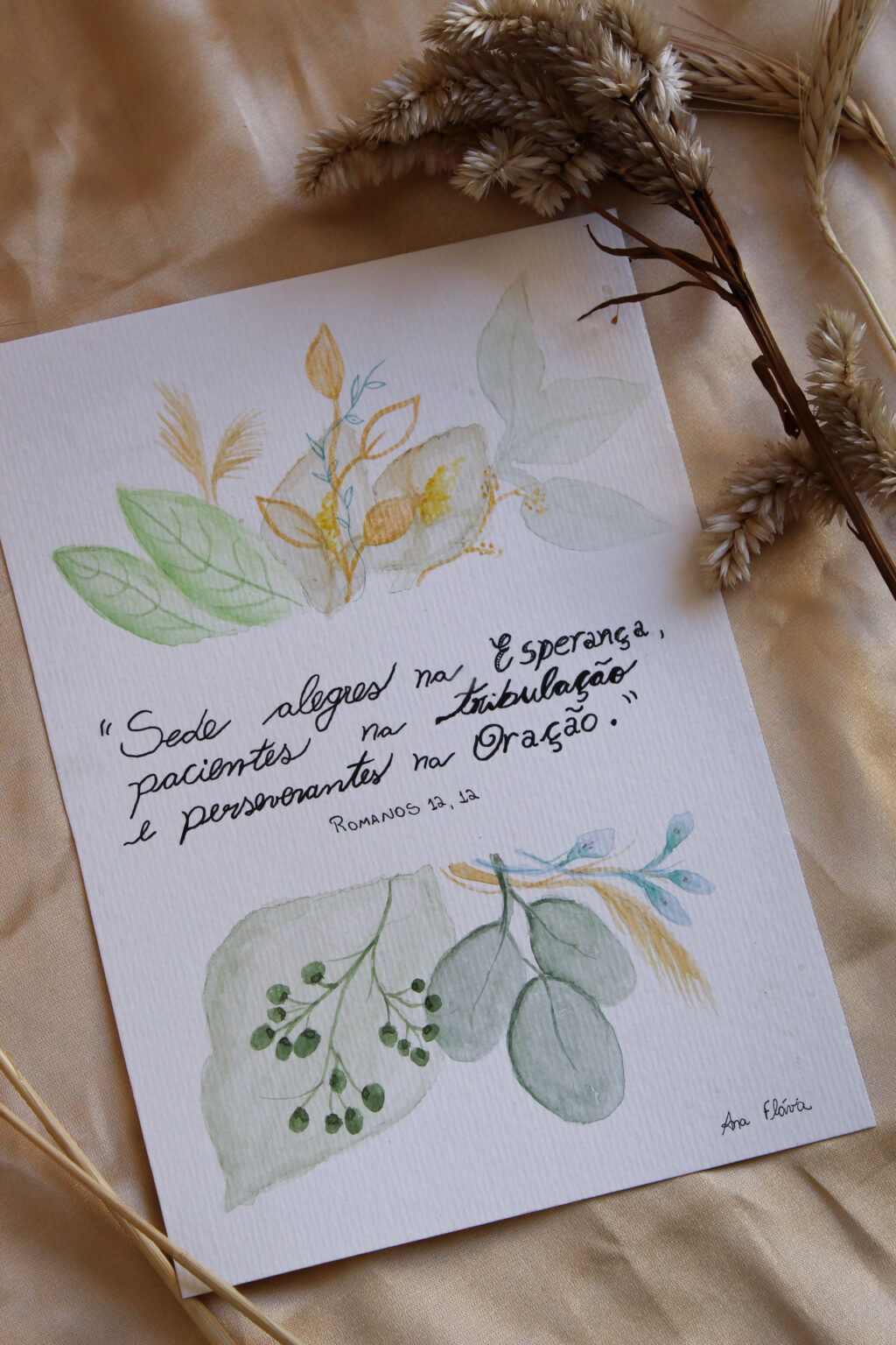 IMG_1382 copiar
